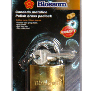 Blossom 40mm Brass Padlock