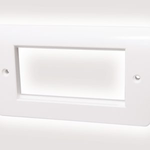 Office Double Gang Euro Faceplate