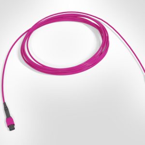 MTP Trunk Cable - Elite MTP(F)-MTP(F) - 12F Multimode OM4 - Polarity A - 3.0mm B2ca Magenta LSZH - 15mtr
