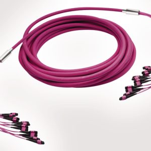 MTP Fanout Cable - 12x Elite MTP(F) - 12x Elite MTP(F) - 96F Multimode OM4 - Polarity A - B2ca Magenta LSZH - 100mtr