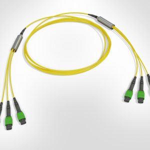 MTP Fanout Cable - 3x Elite MTP(F) - 3x Elite MTP(F) - 24F Singlemode OS2 - Polarity B - B2ca Yellow LSZH - 60mtr