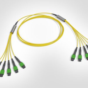 MTP Fanout Cable - 6x Elite MTP(F) - 6x Elite MTP(F) - 48F Singlemode OS2 - Polarity B - B2ca Yellow LSZH - 9mtr