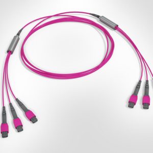 MTP Fanout Cable - 3x Elite MTP(F) - 3x Elite MTP(F) - 24F Multimode OM4 - Polarity A - B2ca Magenta LSZH - 10mtr