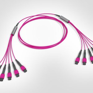 MTP Fanout Cable - 6x Elite MTP(F) - 6x Elite MTP(F) - 48F Multimode OM4 - Polarity A - B2ca Magenta LSZH - 24mtr