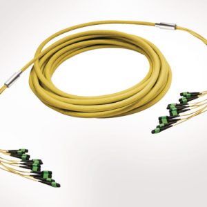 MTP Fanout Cable - 12x Elite MTP(F) - 12x Elite MTP(F) - 96F Singlemode OS2 - Polarity A - B2ca Yellow LSZH - 3mtr