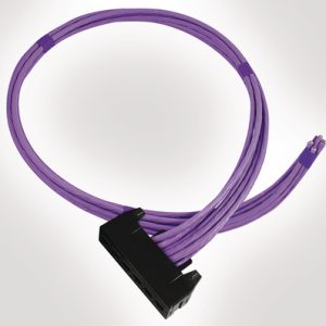 RapidNet 6 Port Category 6A UTP