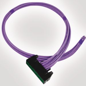 RapidNet 6 Port Category 6A UTP