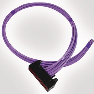 RapidNet 6 Port Category 6A UTP