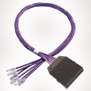 RapidNet Category 6 - 6 Port Cassette to 6x RJ45 Plug - Unshielded U/UTP Cca Violet LSZH - 22.5mtr