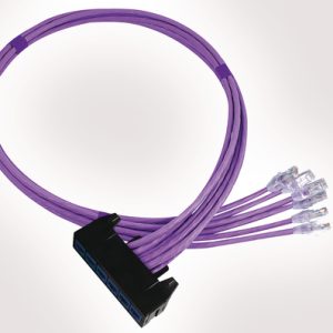 RapidNet 6 Port Category 6 Short Body Cassette to RJ45 Plug