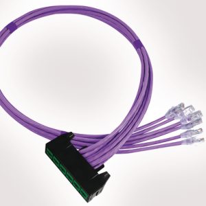 RapidNet 6 Port Category 6 Short Body Cassette to RJ45 Plug