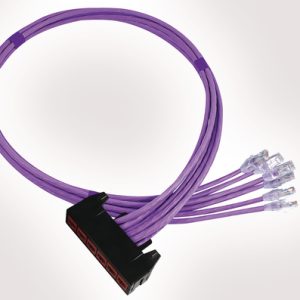 RapidNet 6 Port Category 6 Short Body Cassette to RJ45 Plug
