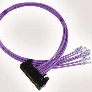 RapidNet 6 Port Category 6 Short Body Cassette to RJ45 Plug