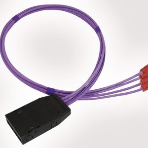 RapidNet 4 Port Category 6 Cassette to Keystone Jacks
