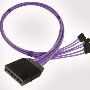 RapidNet 6 Port Category 6 Cassette to Keystone Jack