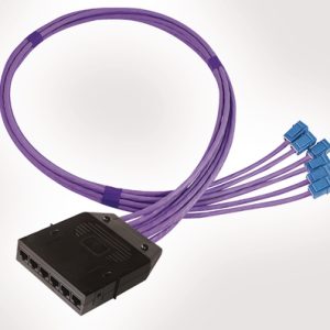 RapidNet 6 Port Category 6 Cassette to Keystone Jack