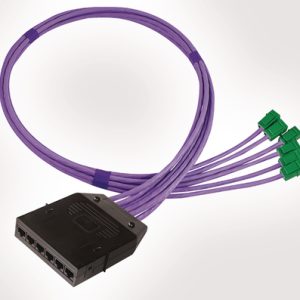 RapidNet 6 Port Category 6 Cassette to Keystone Jack