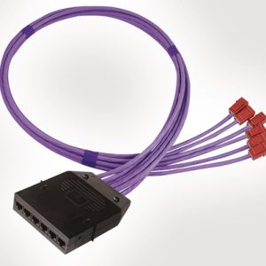 RapidNet 6 Port Category 6 Cassette to Keystone Jack