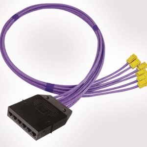 RapidNet 6 Port Category 6 Cassette to Keystone Jack