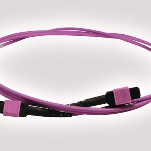 OM4 24 Core Back-Bone Cable