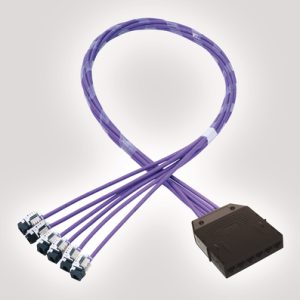 RapidNet 6 Port Category 6 Cassette to Keystone Jack