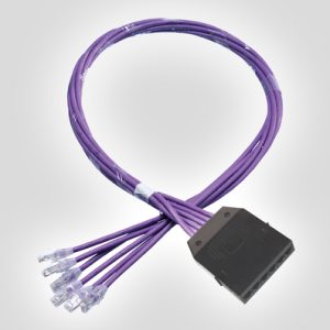 RapidNet 6 Port Category 6 Cassette to RJ45 Plug