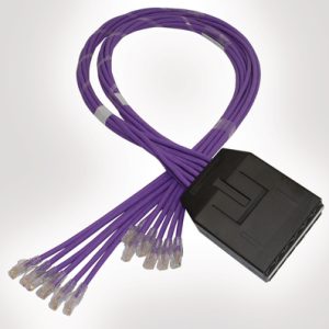 RapidNet 12 Port Category 6 Cassette to RJ45 Fan Out
